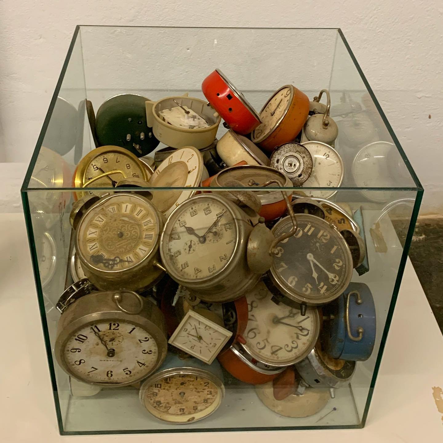 285880032_5349048425175886_2082540016471976313_n